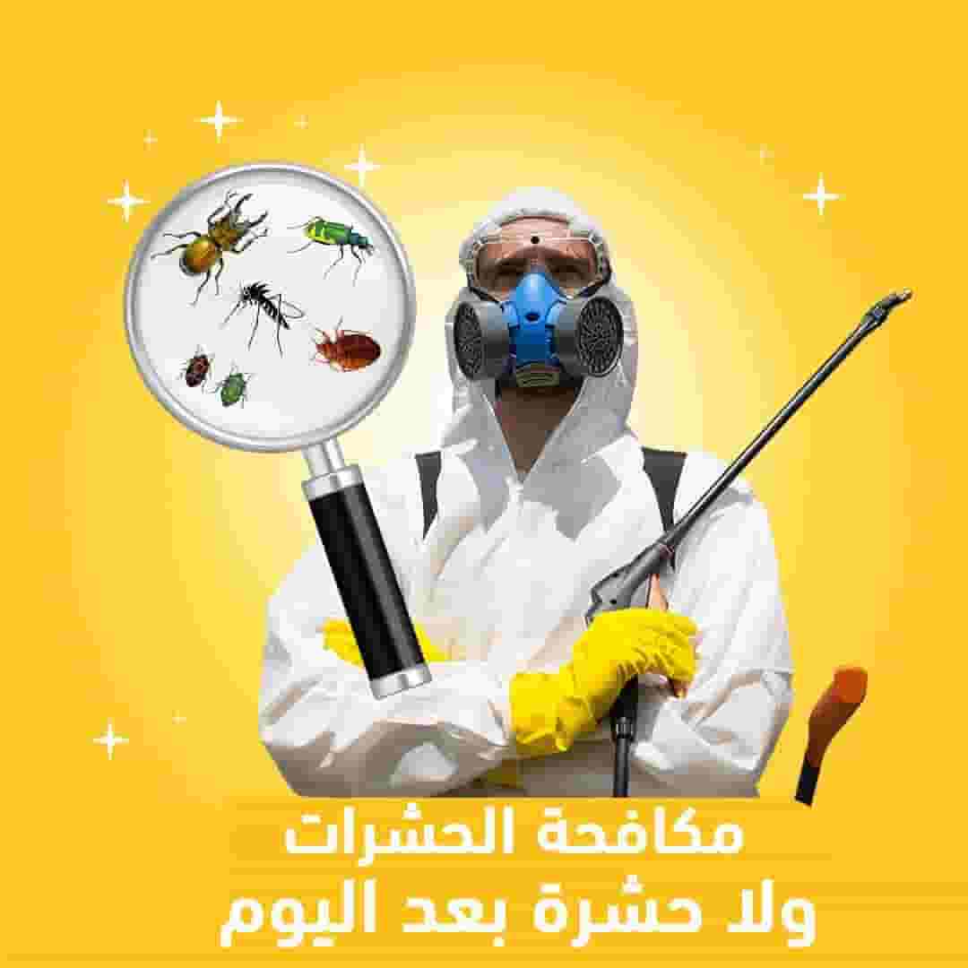 شركة مكافحة حشرات في دبي