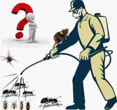 شركه مكافحه حشرات