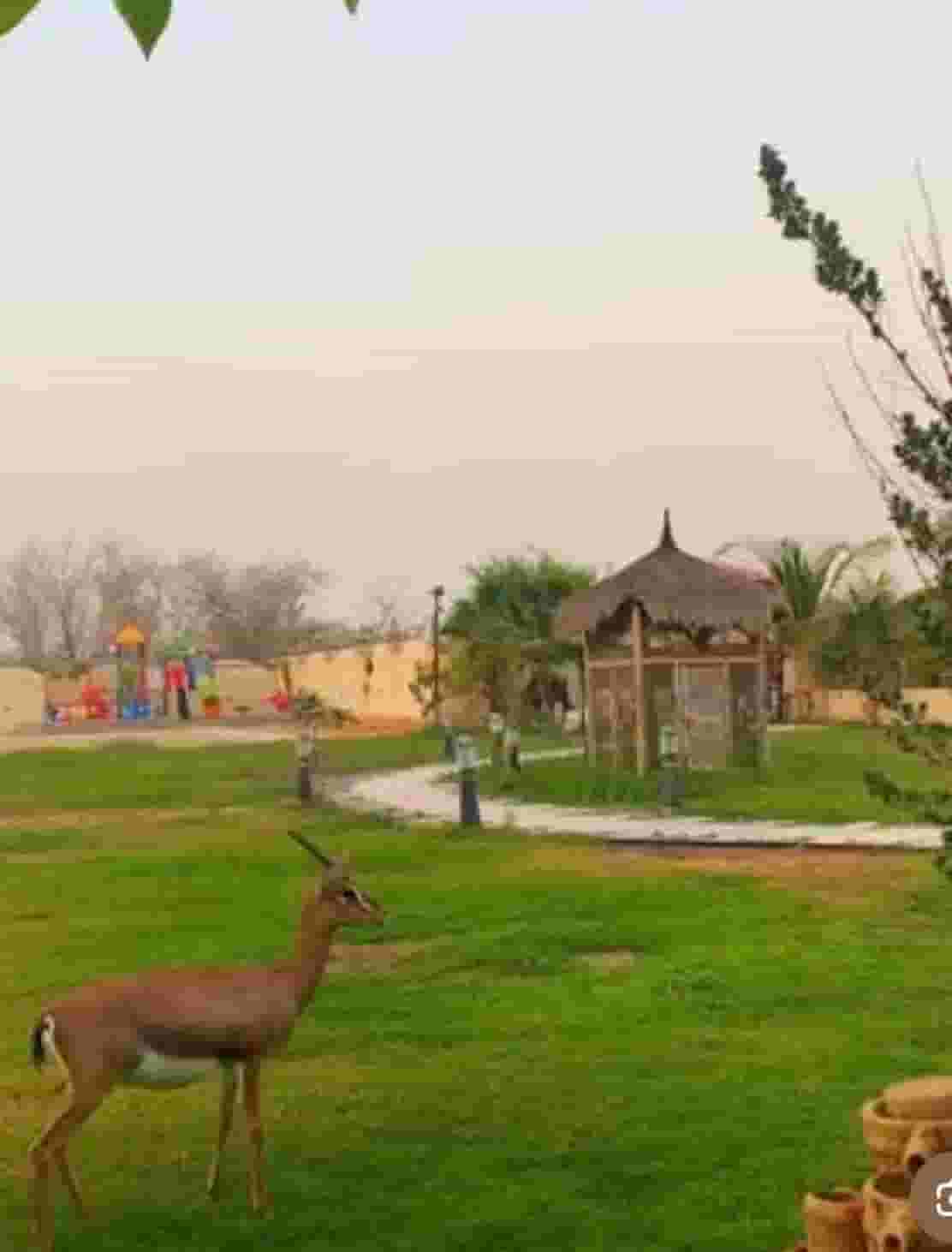 Farm for sale in Al Rahba 