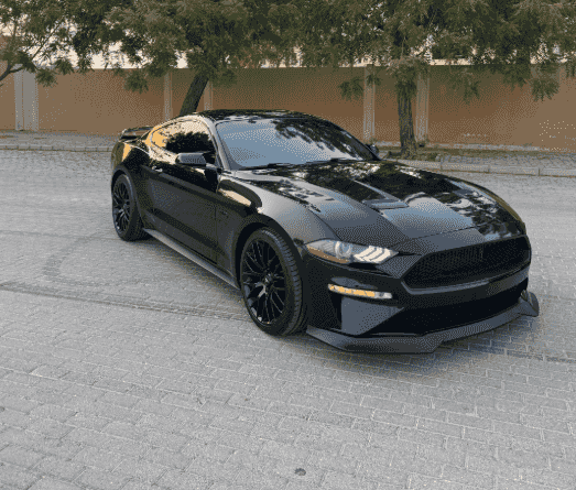 Mustang 2019 for sale 