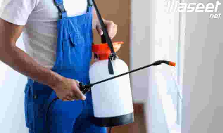 Pest control company in Sharjah Pest control company in Sharjah