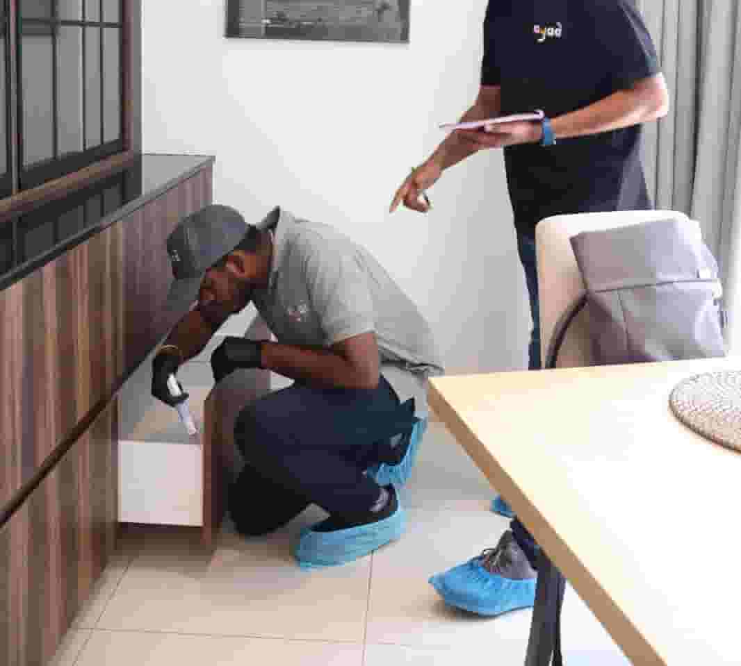 Pest control by Dubai Municipality Pest control by Dubai Municipality