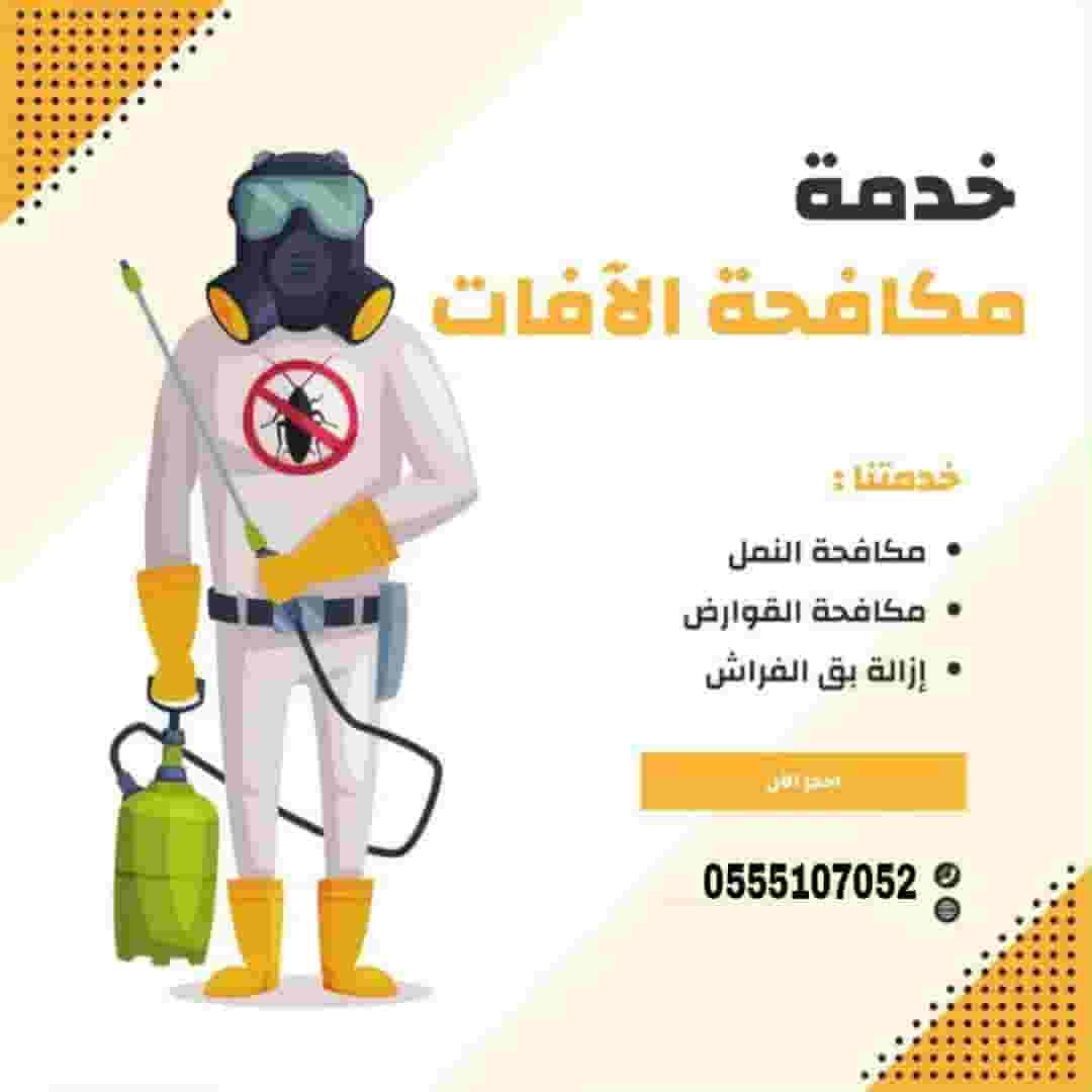 Pest control company in Abu Dhabi Pest control company in Abu Dhabi