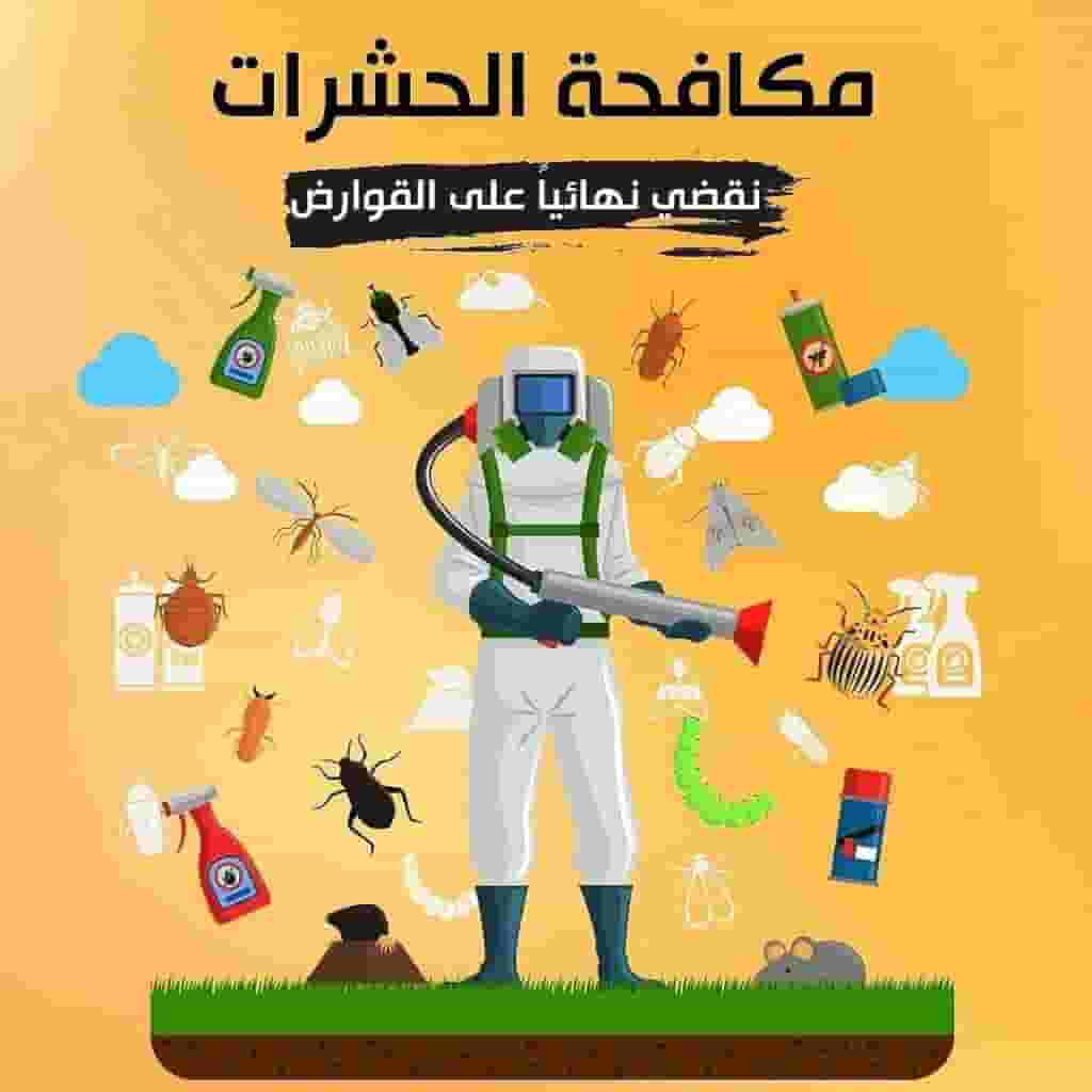 Pest control company in Sharjah Pest control company in Sharjah