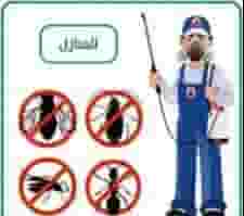Pest control company in Ajman Pest control company in Ajman