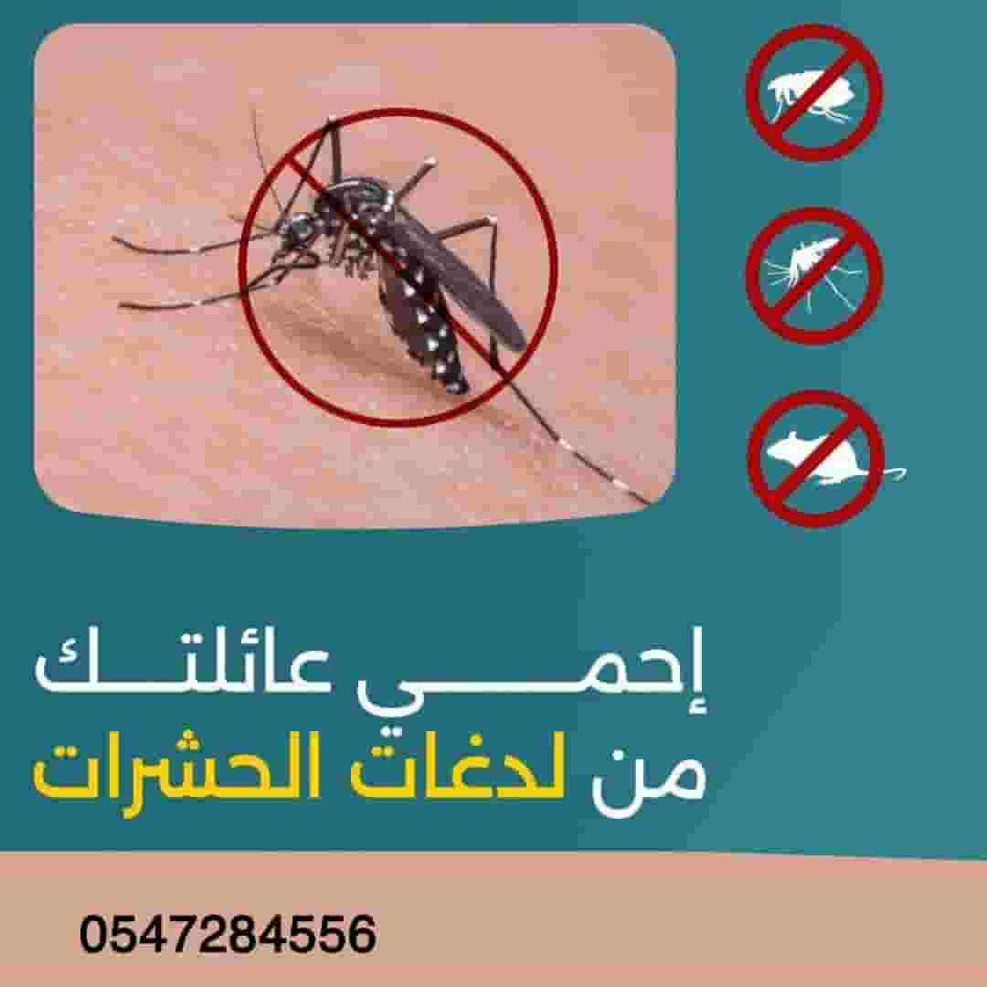 Pest and rodent control Pest and rodent control